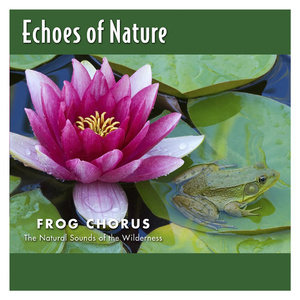 一念永恒第三季免费观看完整版
